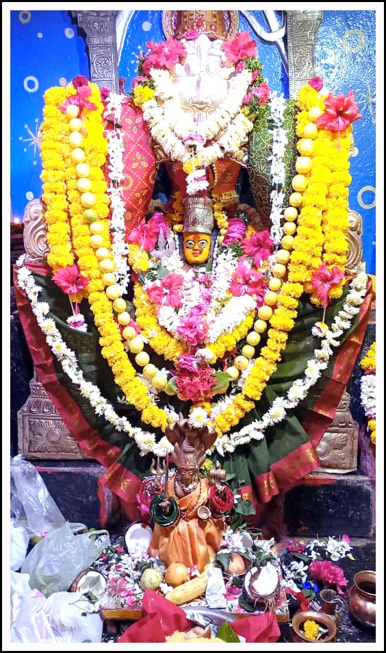 రేణుకా ఎల్ల‌మ్మ వైభోగం...