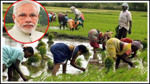 రైత‌న్న‌కు శుభ‌వార్త - ర‌బీ సీజ‌న్ పంట‌ల‌కు మ‌ద్ద‌తు ధర పెంపు