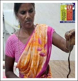 కాటేసిన పామును వెంట తీసుకొచ్చింది