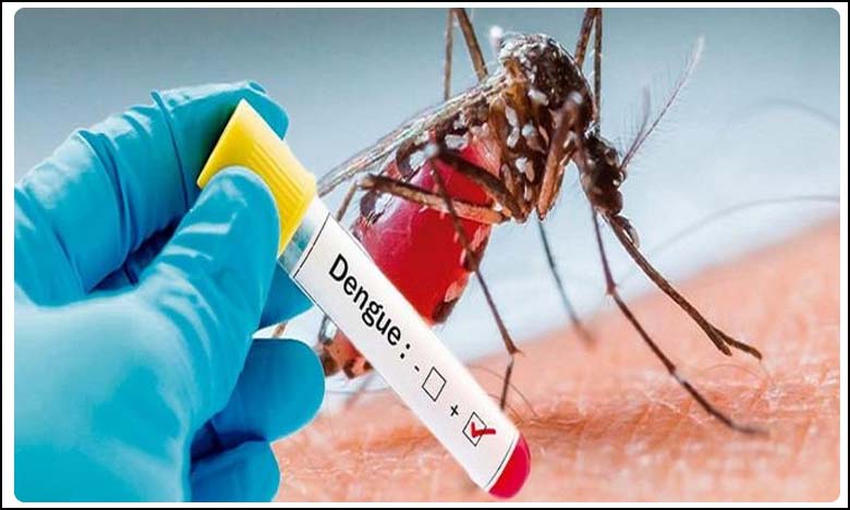 డెంగ్యూతో డేంజ‌ర్‌..!