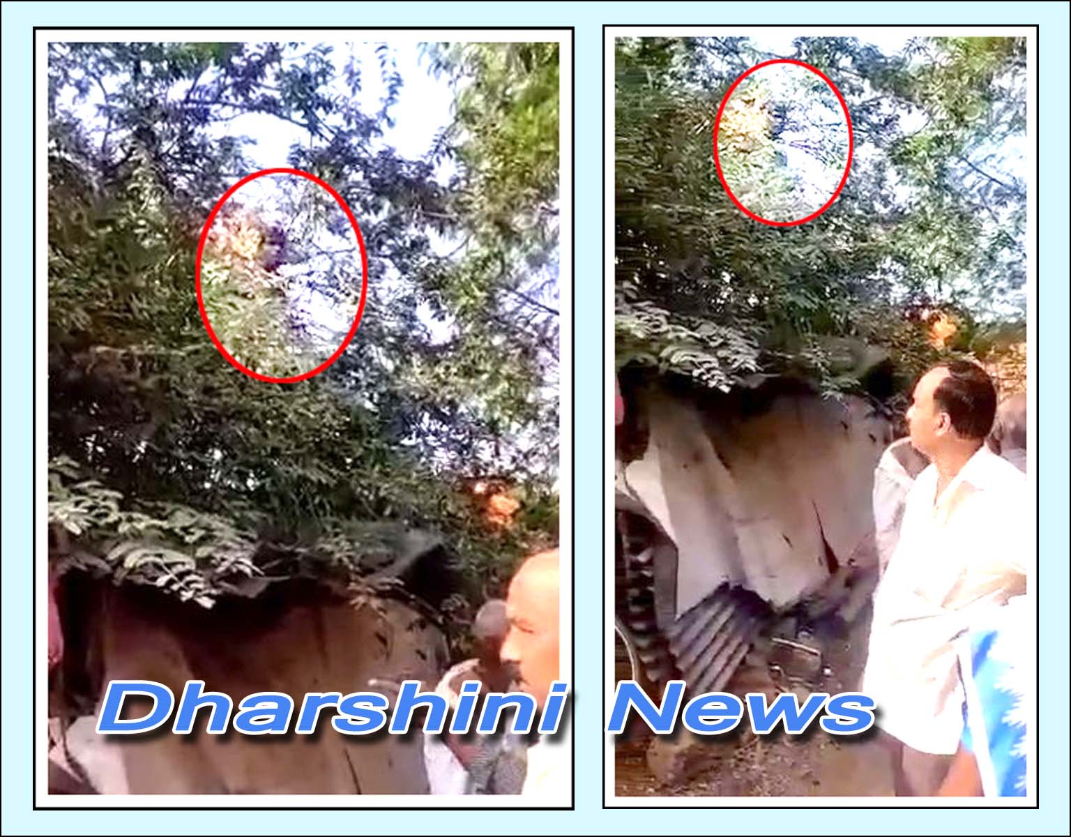 సూదీ ఒద్దంటూ.. చింత‌చెట్టెక్కాడు..!