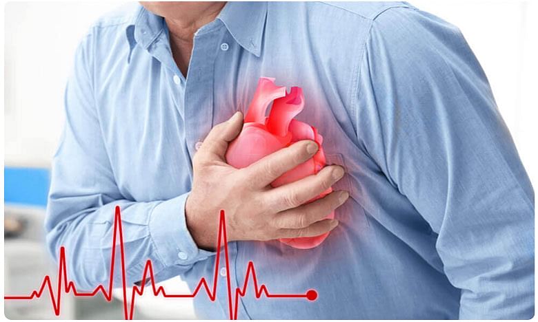 శాఖాహారంతో గుండెపోటు దూరం