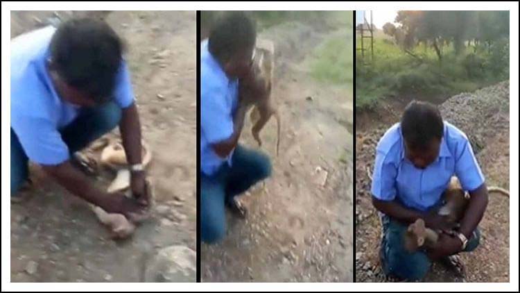 వాన‌రంకు ప్రాణ‌వాయువందించాడు