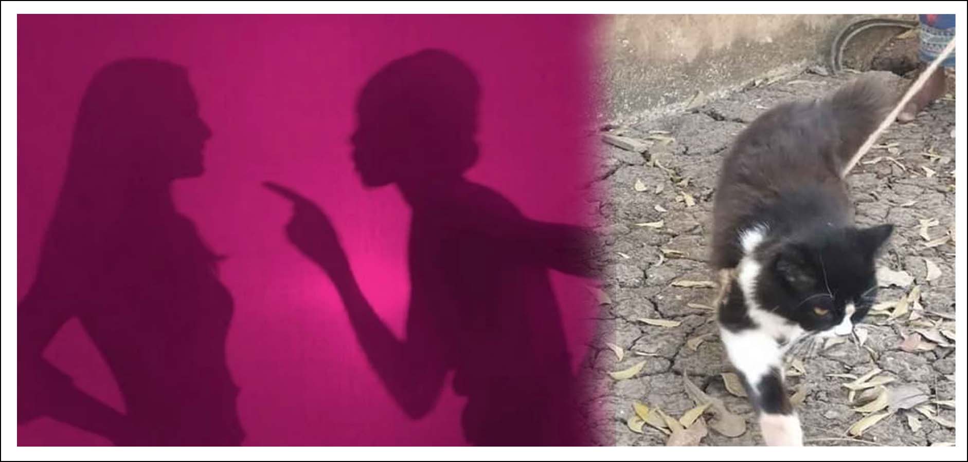 పోలీస్ స్టేష‌న్‌కు పిల్లి పంచాయ‌తీ