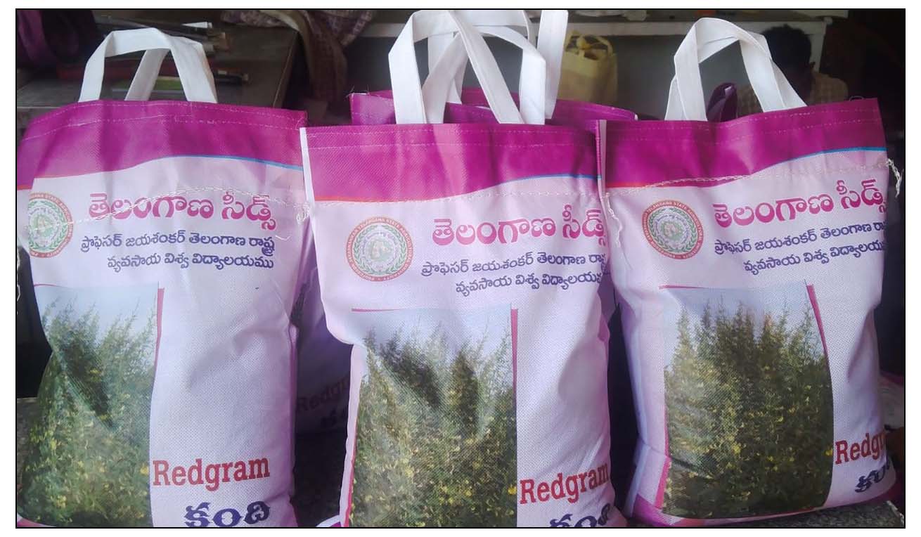 తెలంగాణ కంది సీడ్స్ రెడీ..!