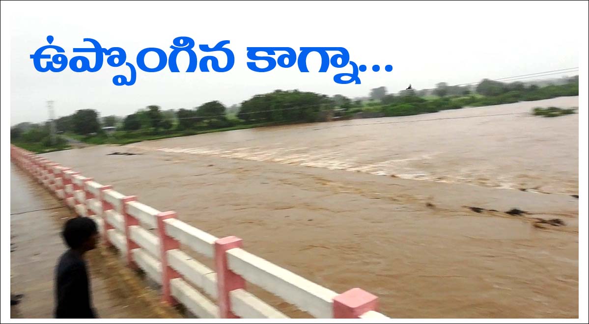 ఉప్పొంగుతున్న వాగులు