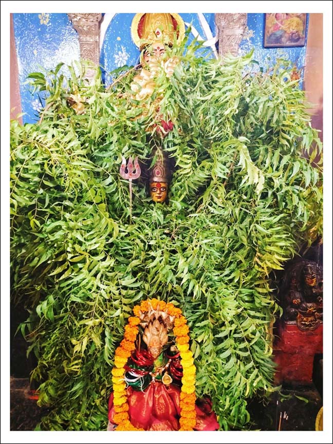 వేపాకుల‌తో ద‌ర్శ‌న‌మిచ్చిన రేణుకా ఎల్ల‌మ్మ‌