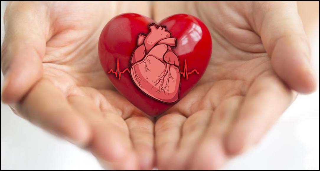 గుండెను ప‌దిలంగా ఉంచుకుందాం
