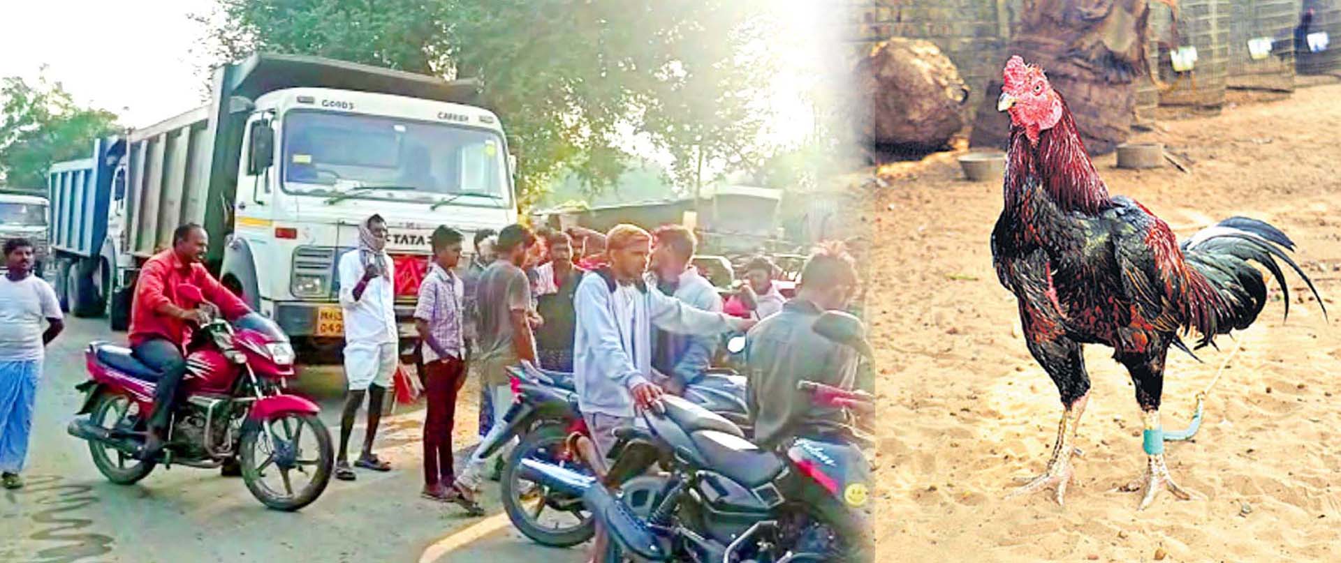 కోడిని చంపారని కోపమొచ్చి..!