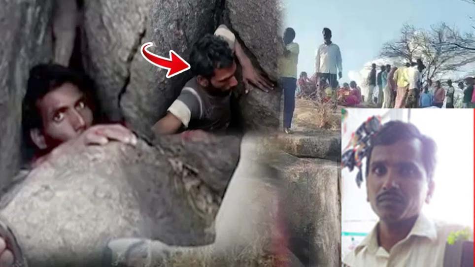 రాజు వేటకు వెళ్లి..!