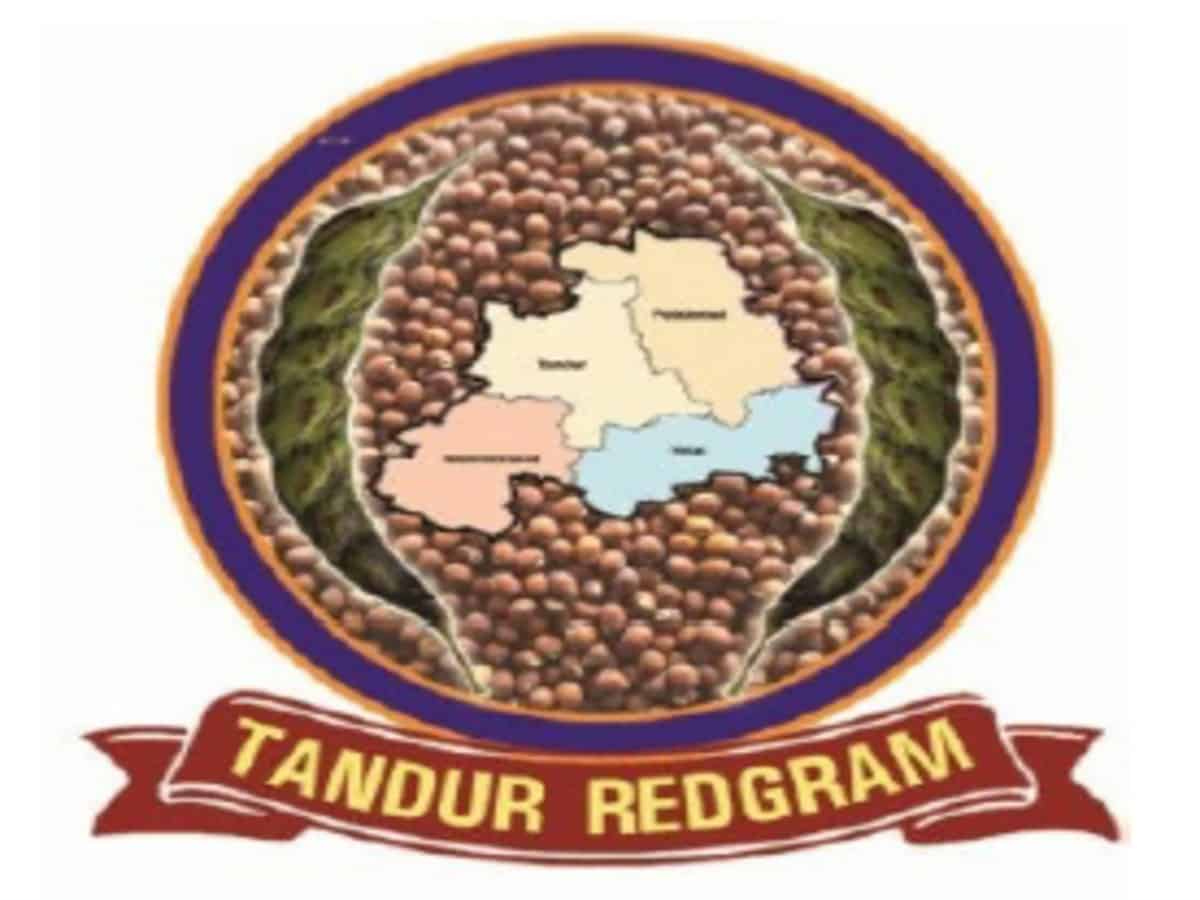31న తాండూరు కందికి జీఐ గుర్తింపు పురస్కారం
