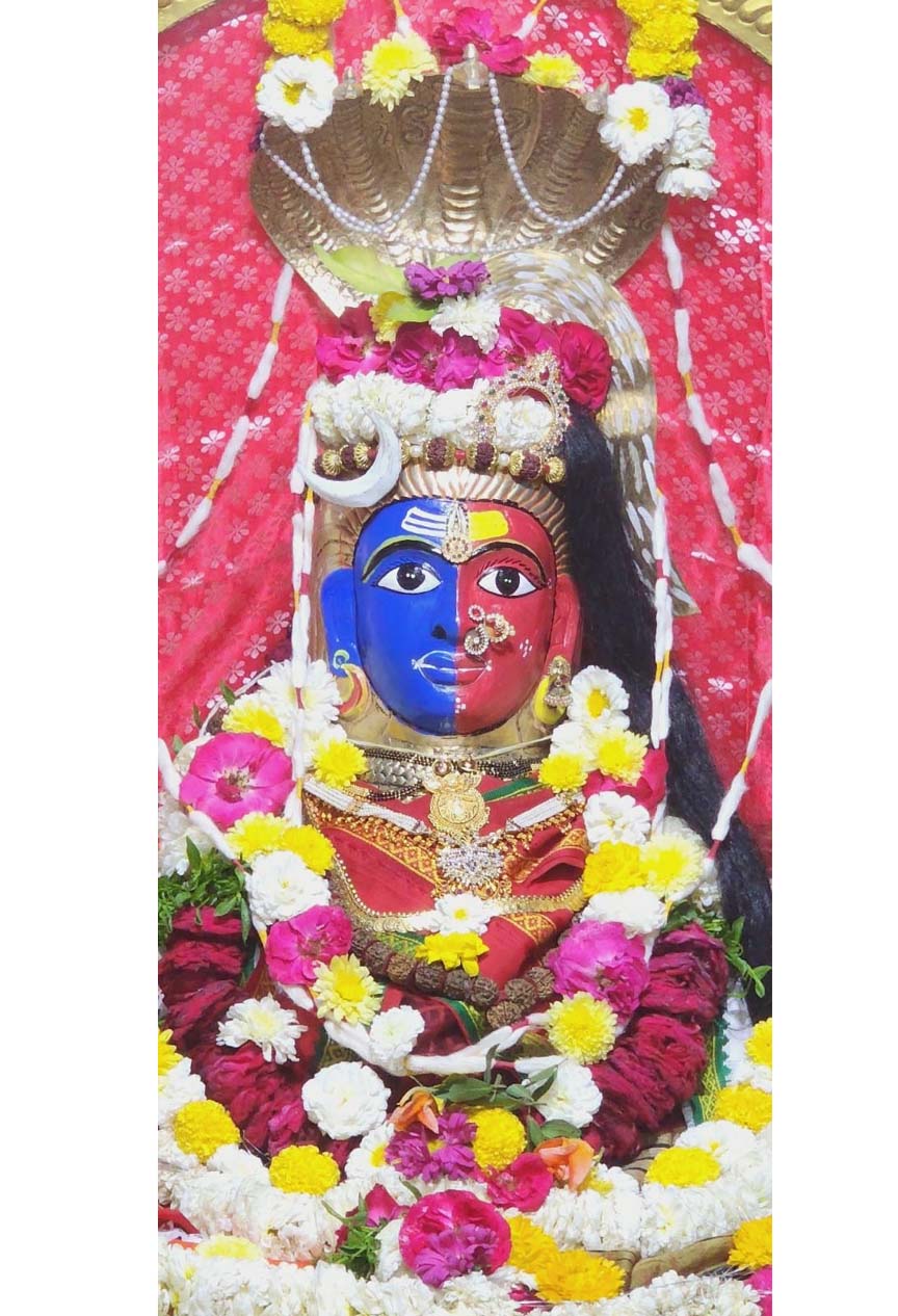 అర్దనారీశ్వరుడుగా శివుడు