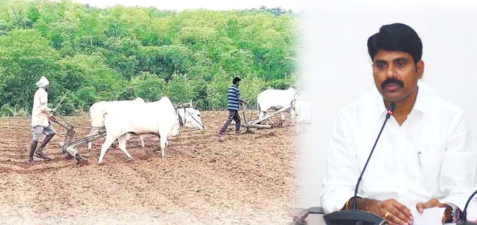 పోడు.. ముందడుగు..!