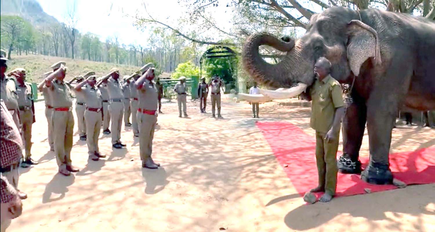 ఏనుగుకు పదవి విరమణ
