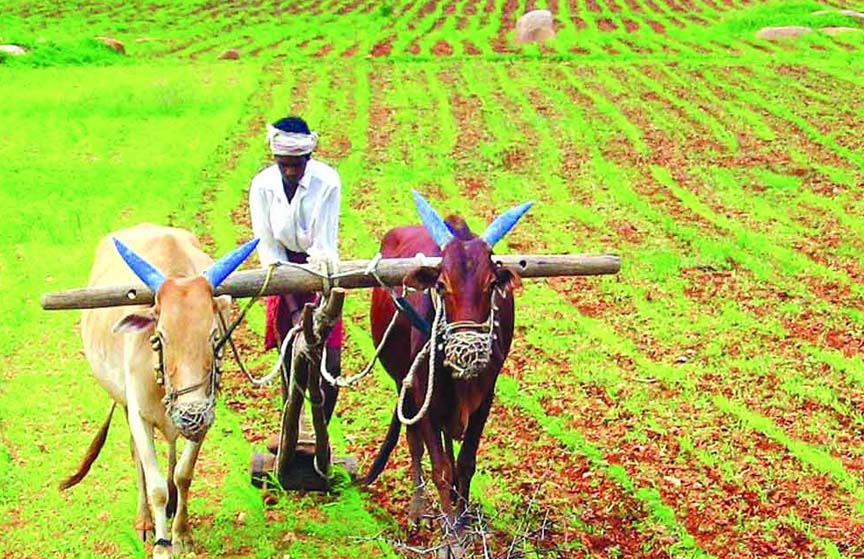 పోడు రైతులకు శుభవార్త..!