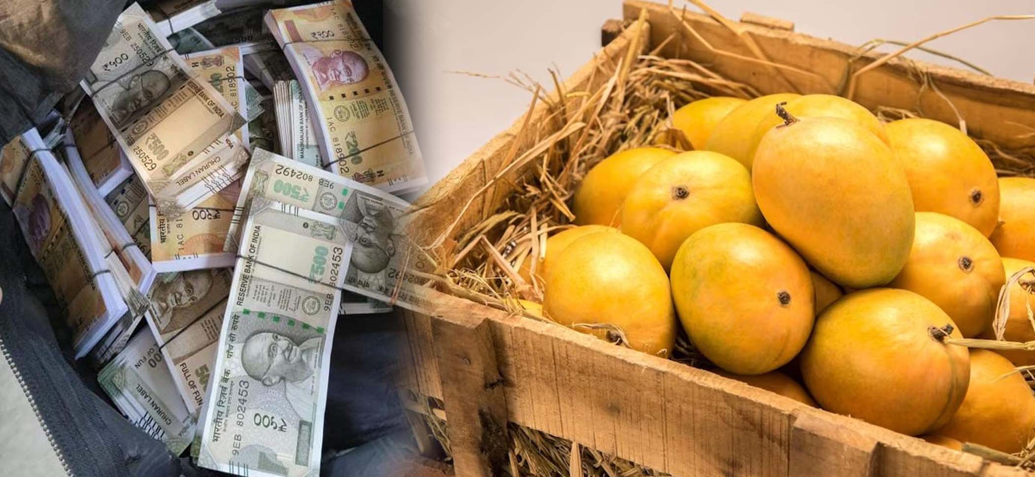 మామిడి పండ్ల పెట్టెలో రూ.కోటి