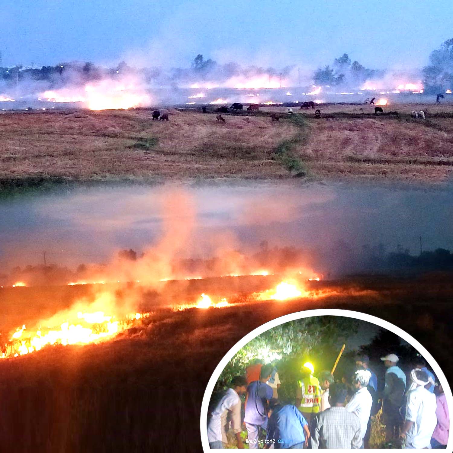 వరి గడ్డికి మంటలు