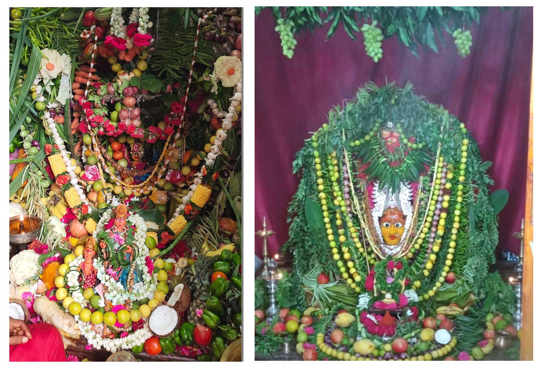 పాహిమాం.. శాకాంబరీ మాత..!
