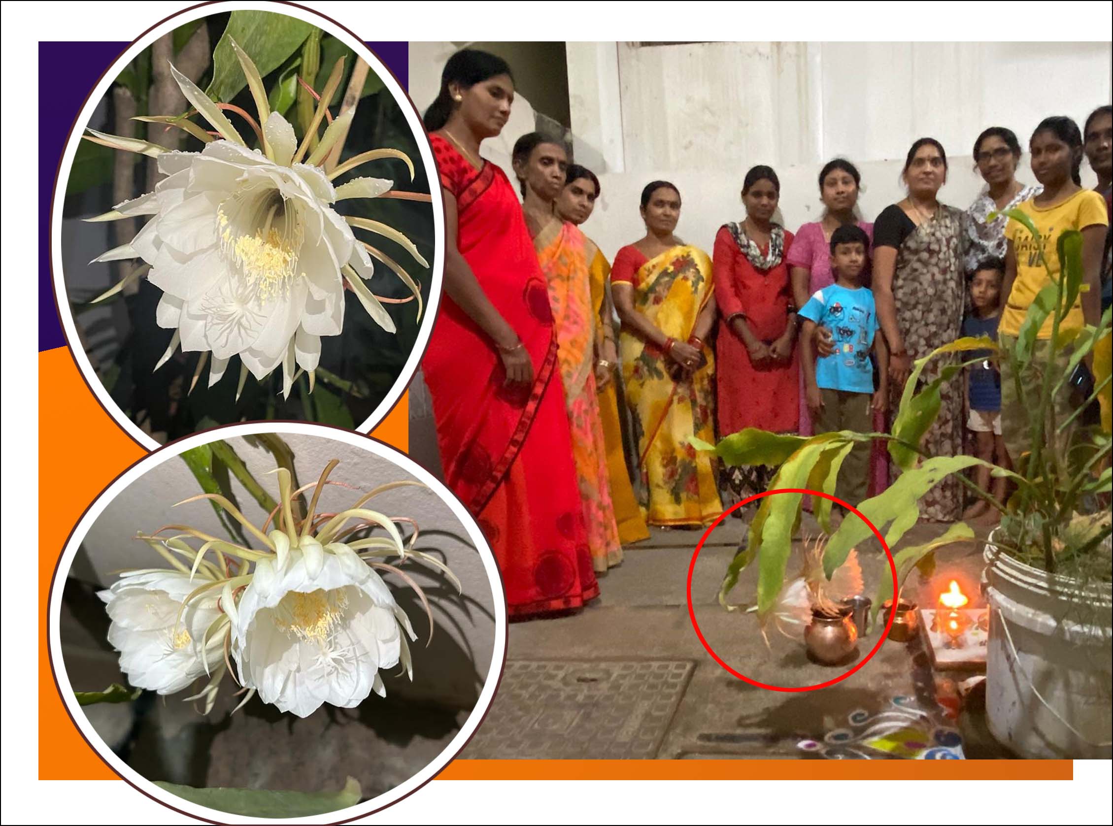 తాండూరులో అద్బుతం..!
