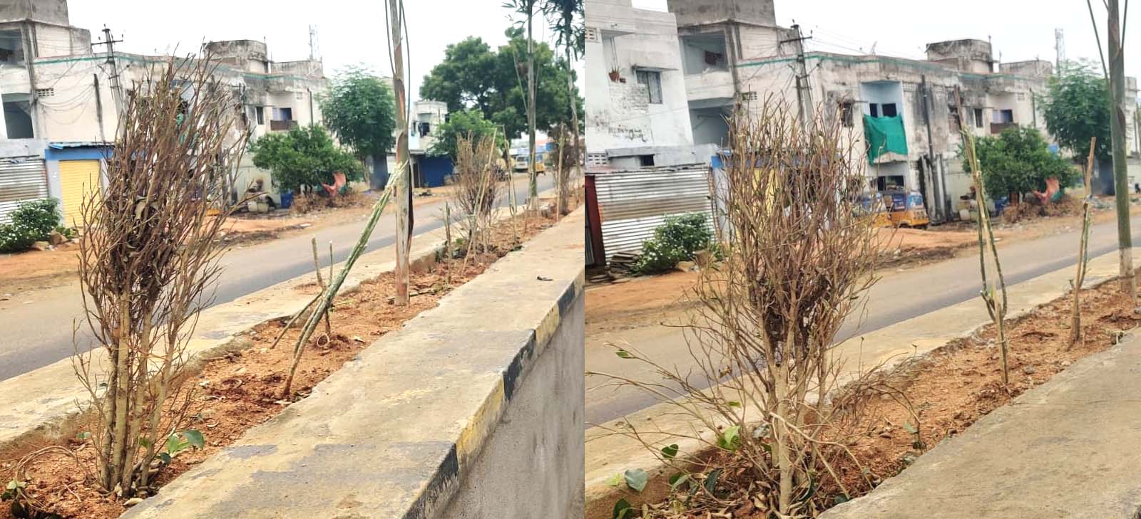 మొన్న పెడితే.. నిన్న హాంఫట్..!