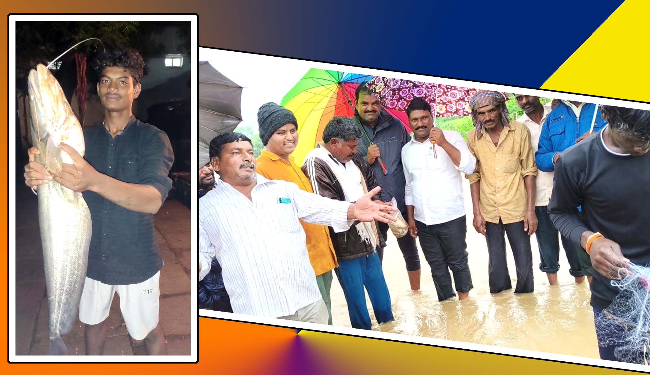 వర్షంలో కొట్టుకొస్తున్న చేపలు