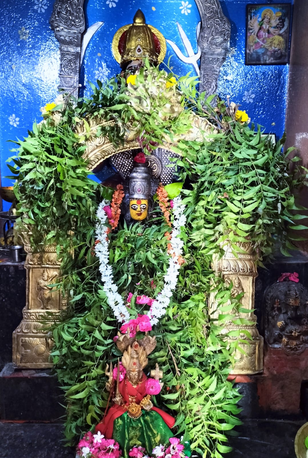 వేపాకు ధారిణిగా ఎల్లమ్మ దర్శనం