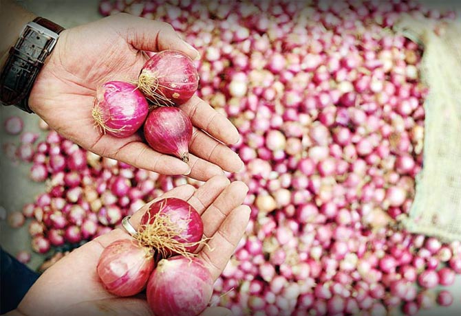 ఉల్లి ఎగుమతులపై నిషేధం