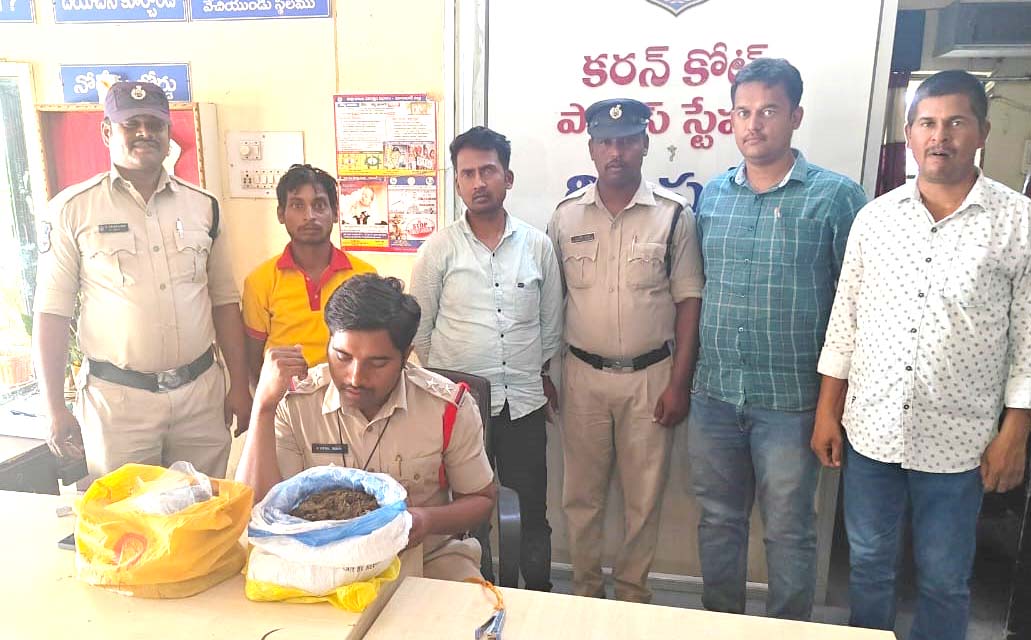 సంచుల్లో గంజాయి..!