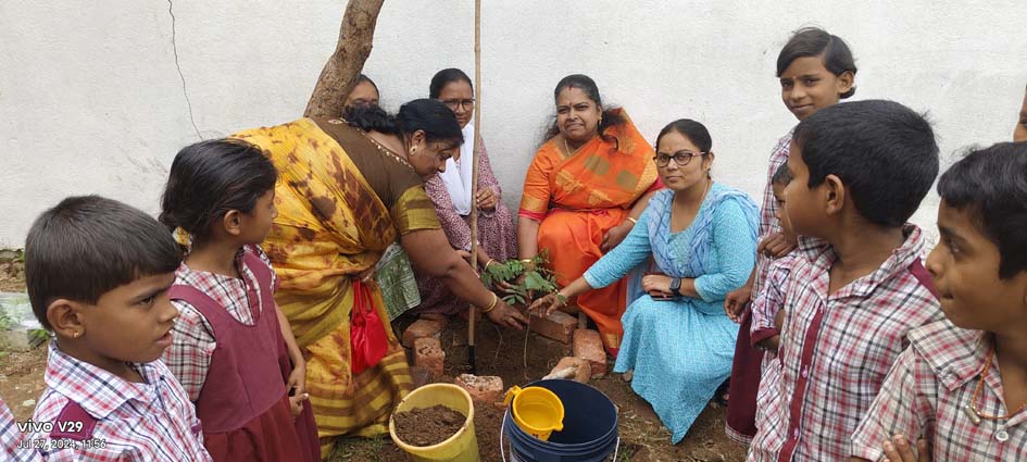 మొక్కలతోనే మనుగడ...!
