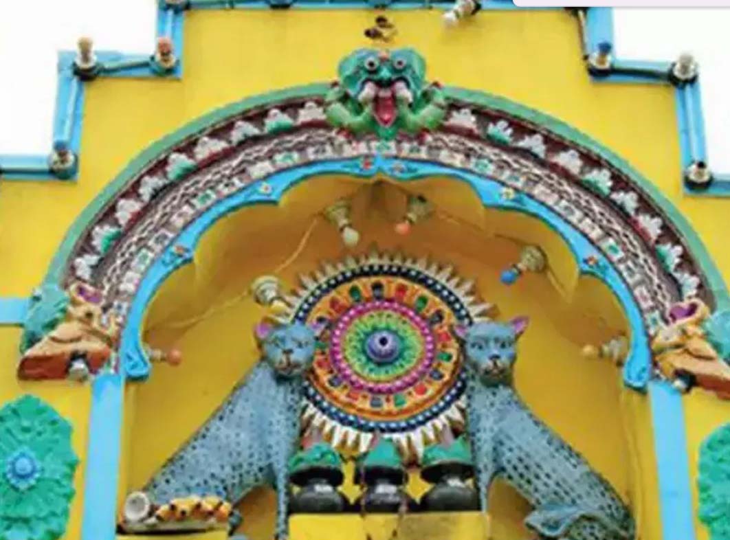 పిల్లికి ఓ పండగ రోజు..!