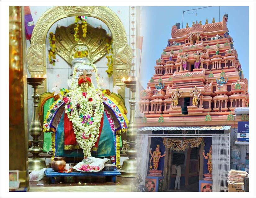 పాలక మండళ్లకు గ్రీన్ సిగ్నల్..!
