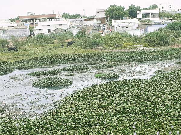 గొల్ల చెరువు కబ్జా..!