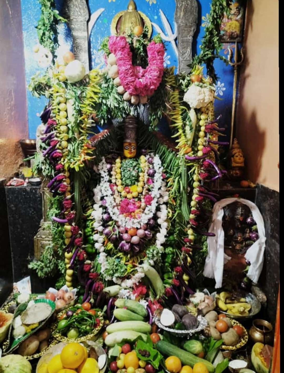 పాహిమాం.. శాకాంబరీ మాత..!