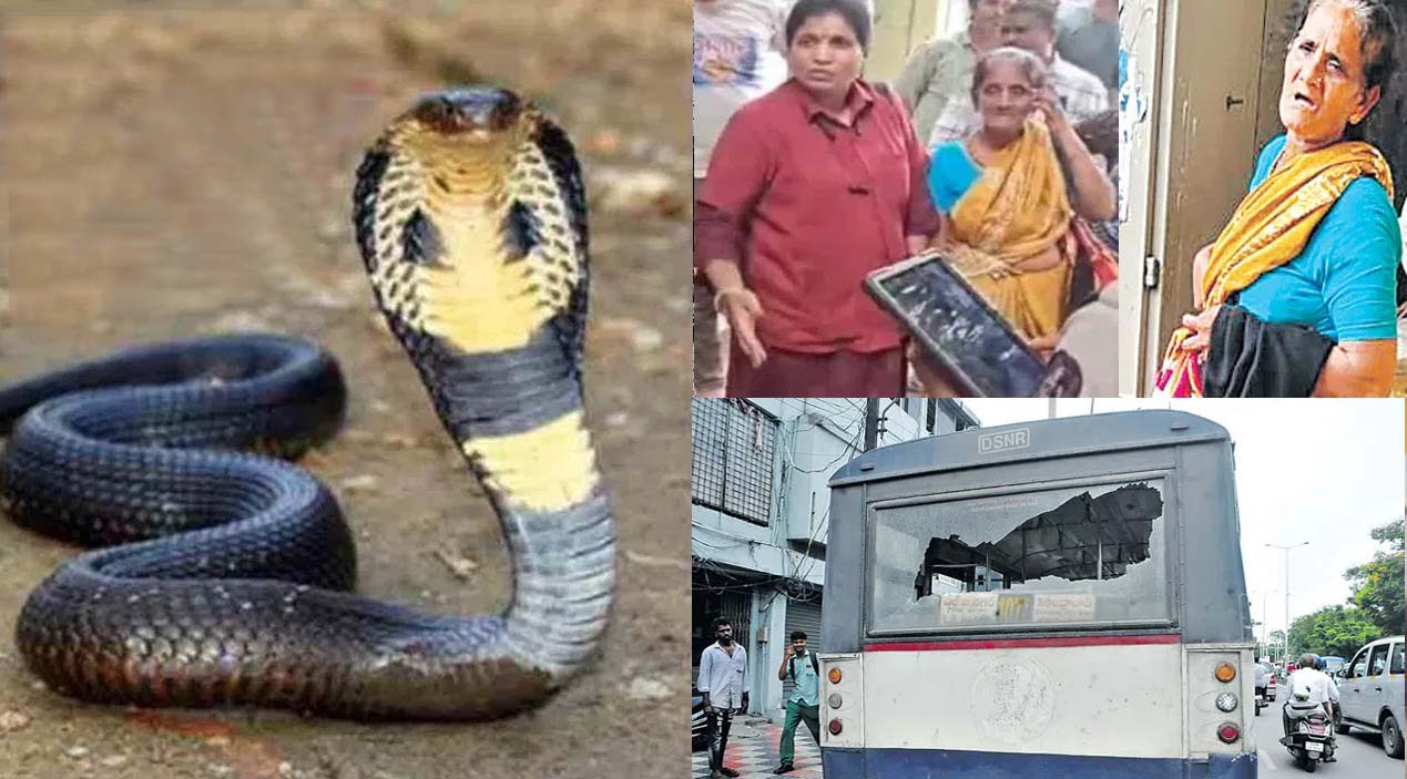 బస్సు ఆపలేదని గుస్సా..!