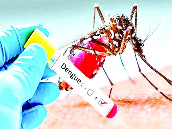 డేంగీ కలకలం..!