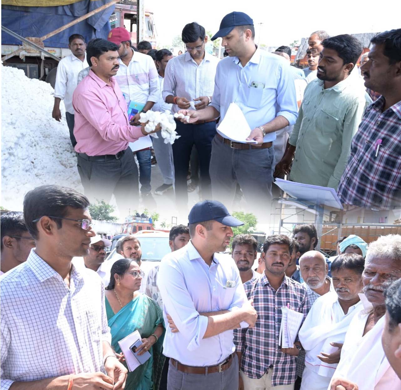 పత్తిని ఆరబెట్టి తీసుకరావాలి