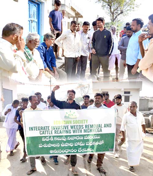 విదేశీ కలుపు మొక్కల నివారణకు కృషి
