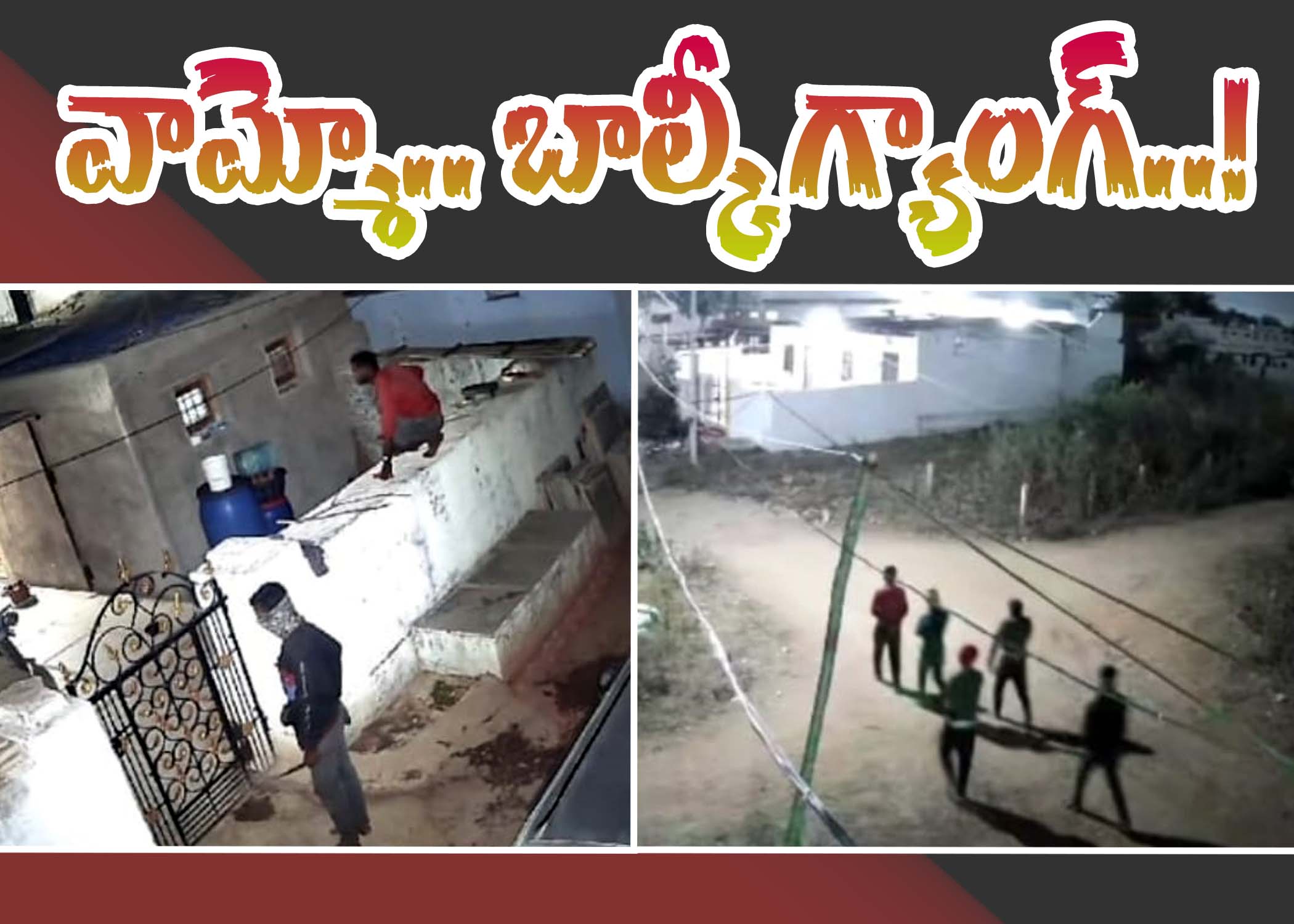 తాండూరులో బాల్కీ గ్యాంగ్‌ హల్ చల్..!