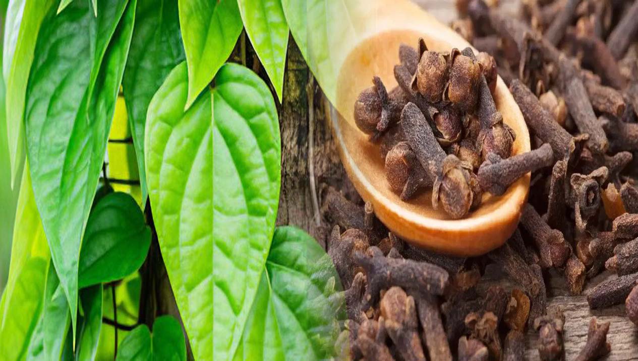 తమలపాకు లవంగంతో ప్రయోజనాలు..!