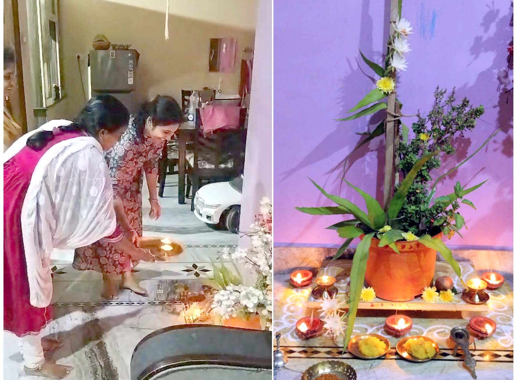 ఇంట్లో విరబూసిన బ్రహ్మకమలం