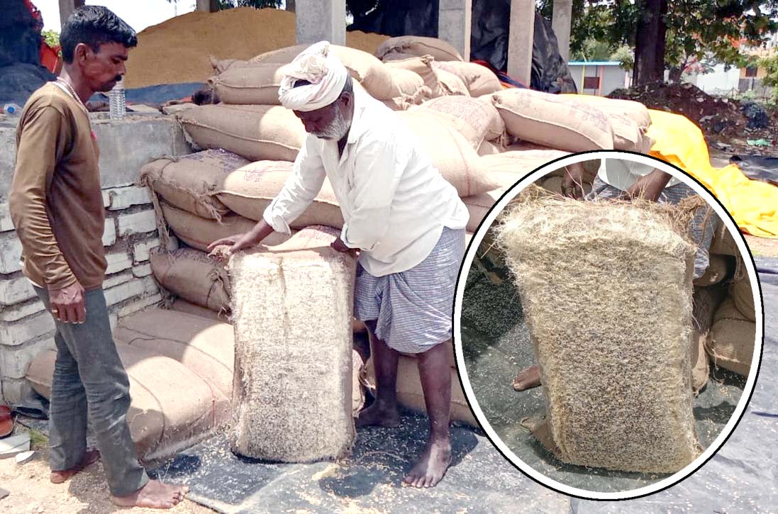 వరి ధాన్యానికి వాన దెబ్బ..!