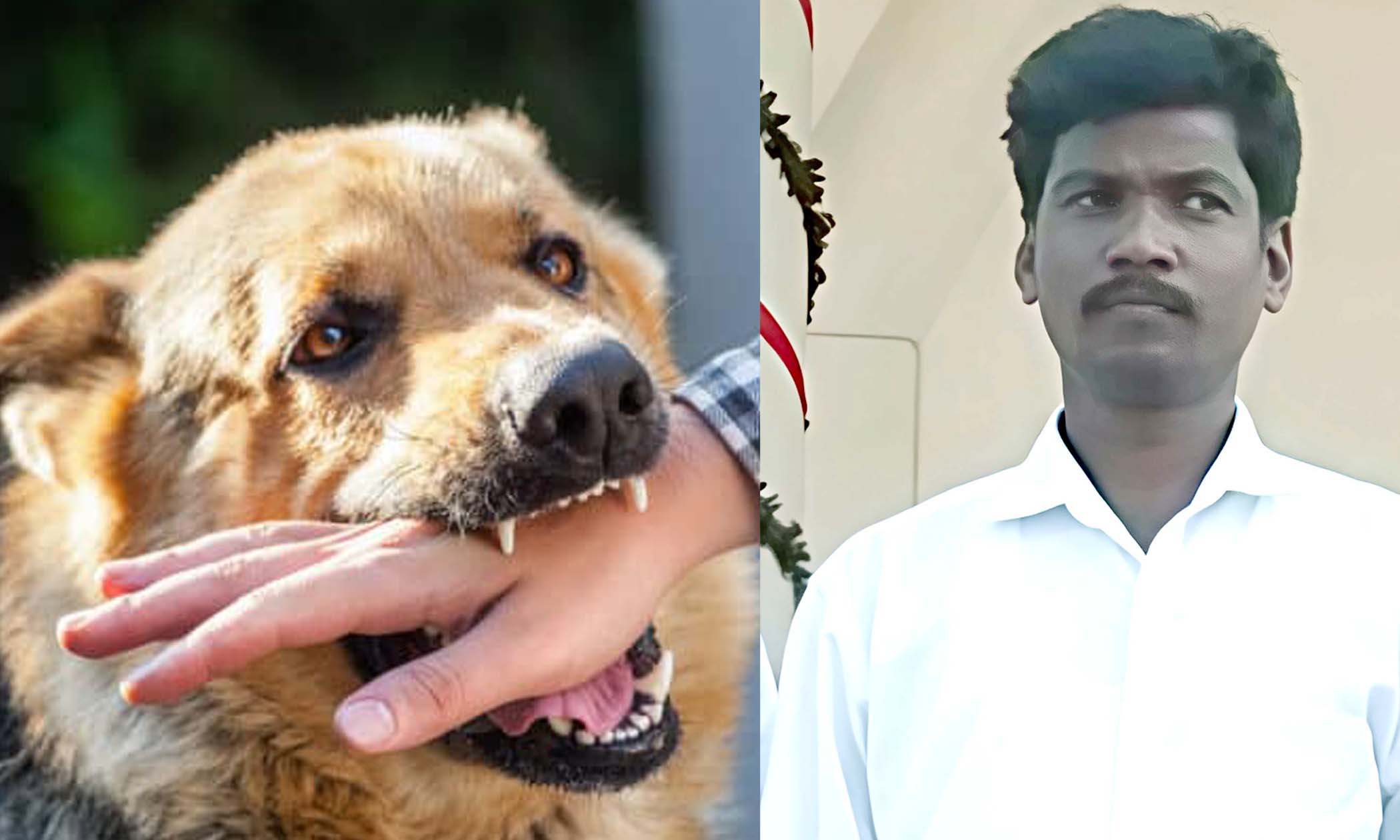 ప్రాణం తీసిన కుక్కకాటు..!
