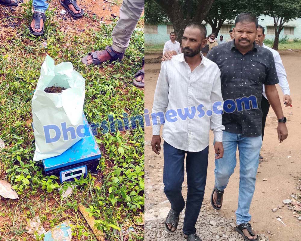 తాండూరులో గంజాయి పట్టివేత