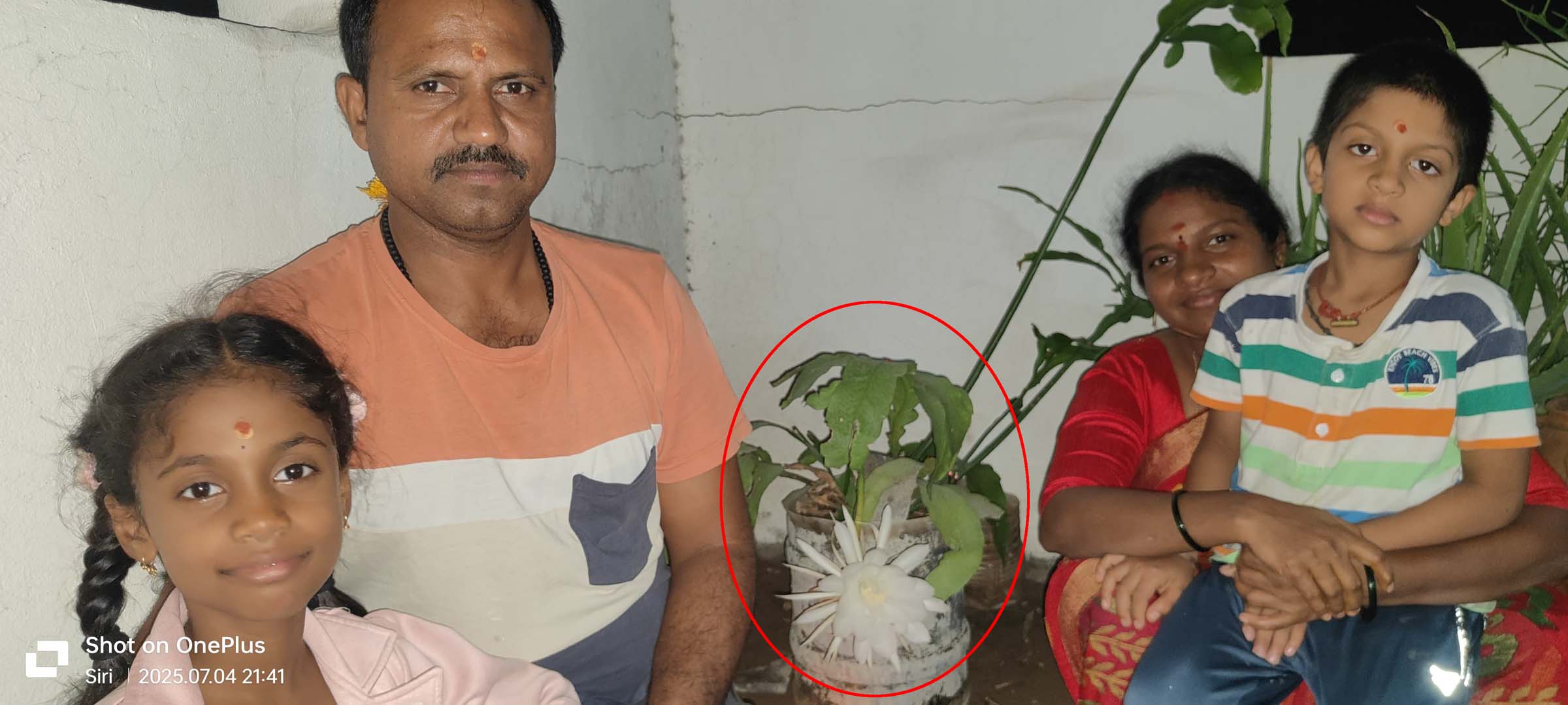 టీచర్ ఇంట్లో విరబూసిన బ్రహ్మ కమలం