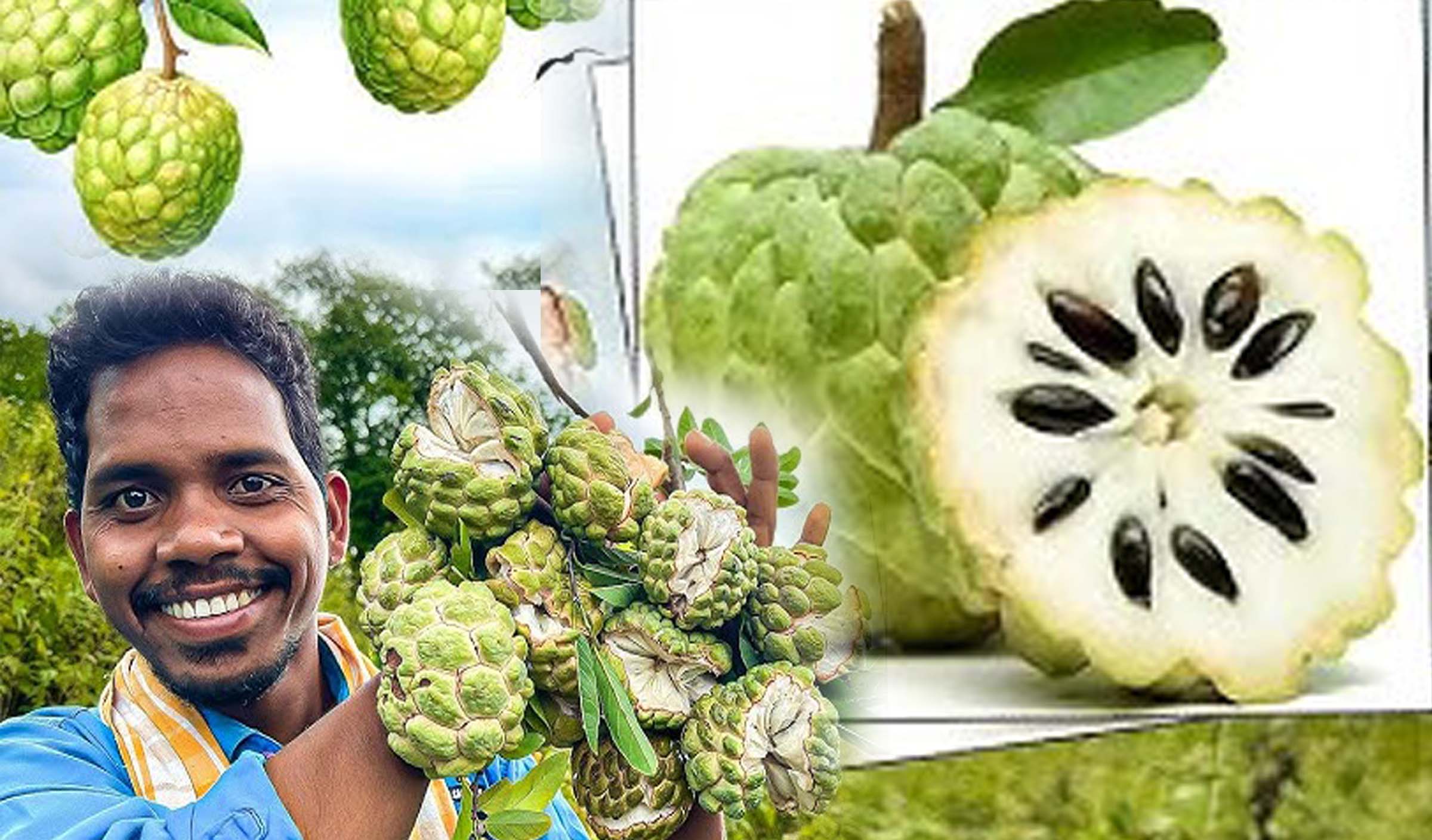 సీతాఫలం.. తేలిగ్గా తీసుకోవద్దు..!