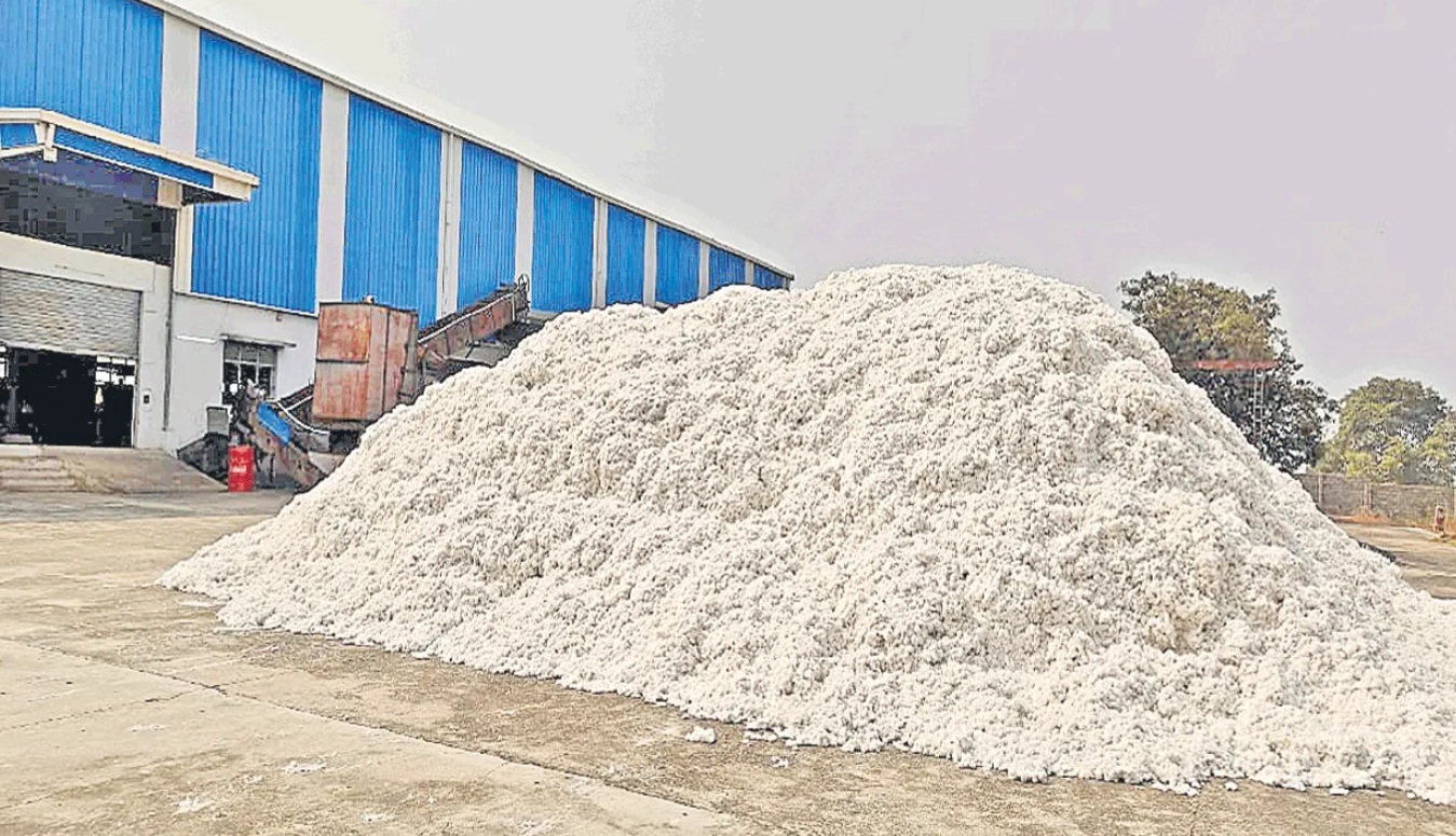 పత్తి కొనుగోలు కేంద్రాలు రెడీ..!