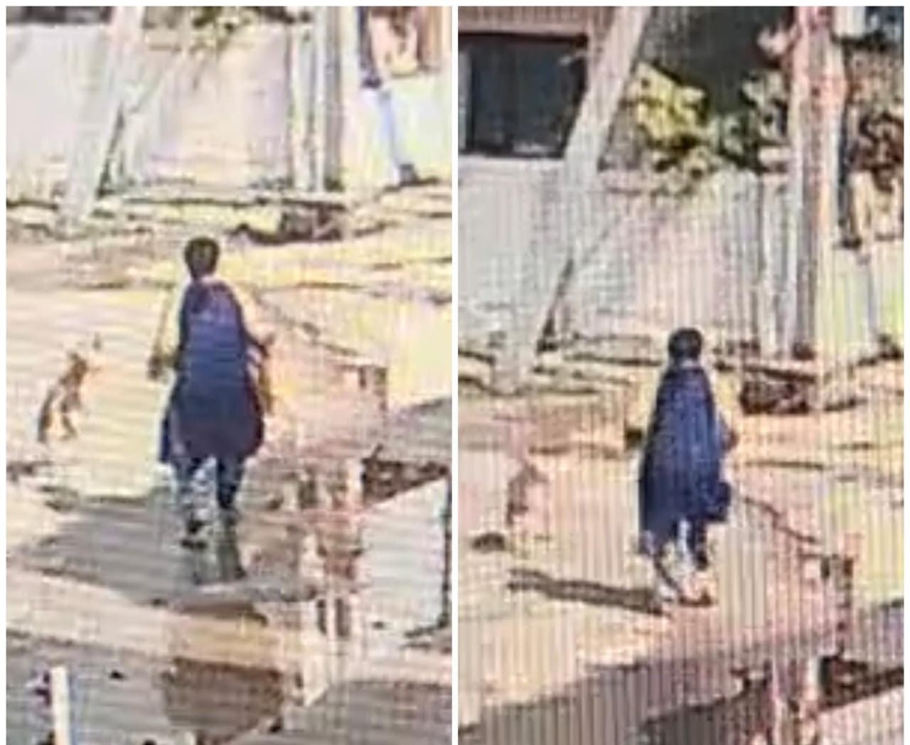 ఇలా ఎగబడుతున్నాయ్ ఏంట్రా..!