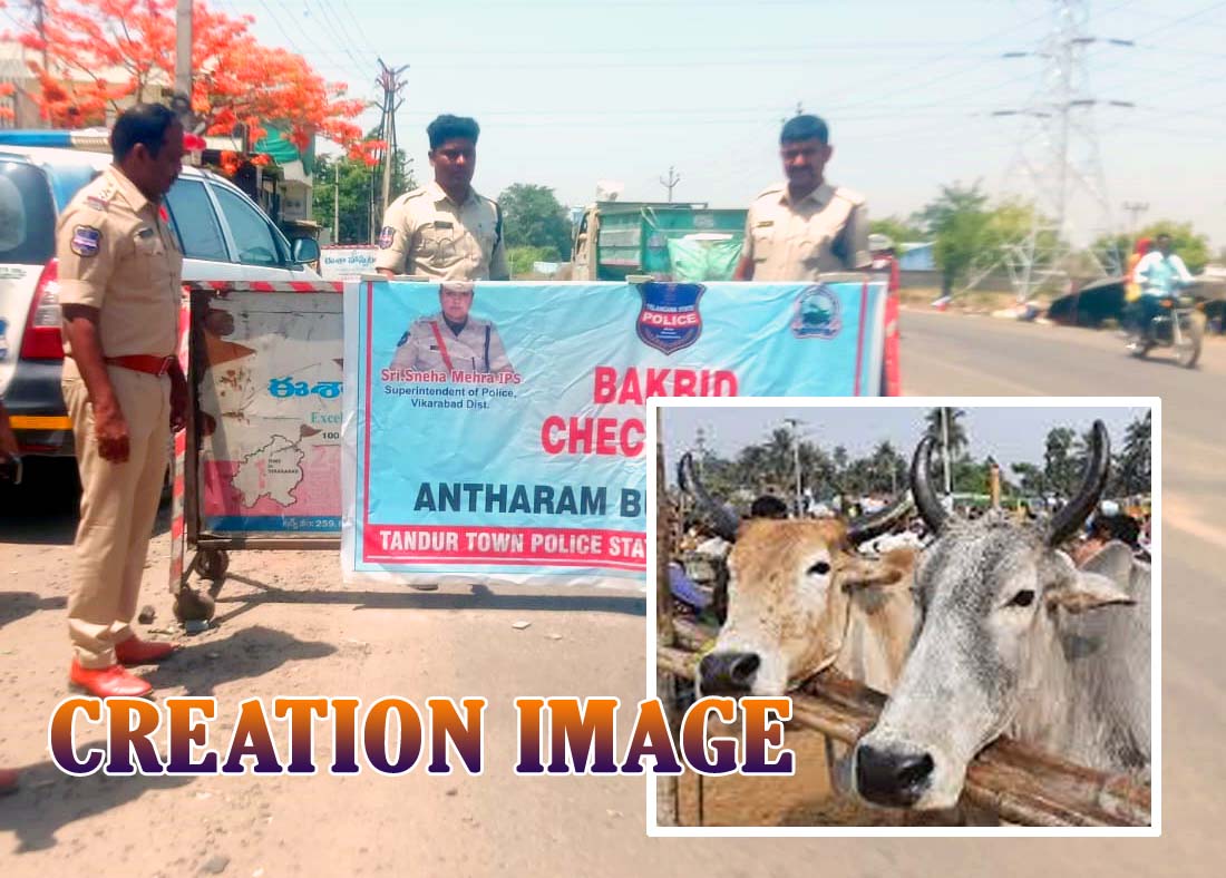 అనుమతి లేకుండా ఎద్దుల రవాణా