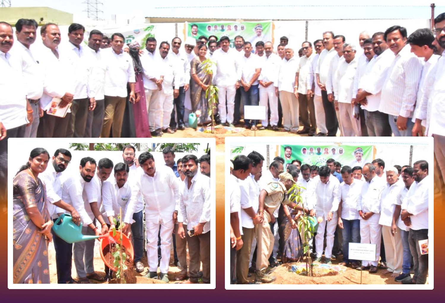 మొక్కలతోనే మనుగడ