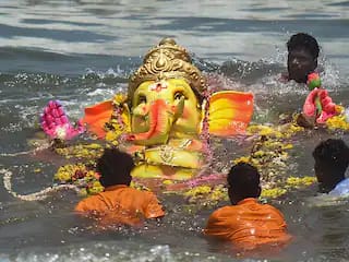 తాండూరులో నేడు గణేశ్‌ నిమజ్జన మహోత్సవం!